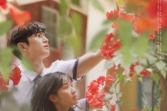 Extraordinary You